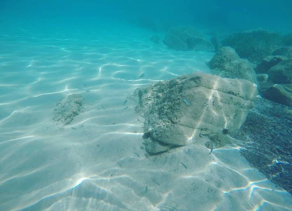  Salonikiou beach Sitonija 